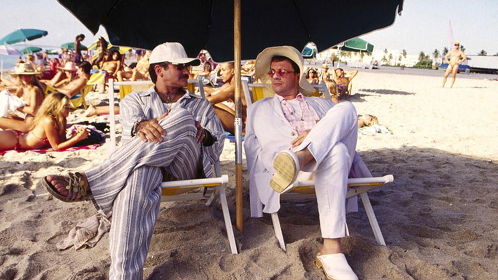 The Birdcage, still 3
