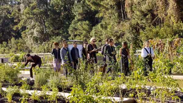 Restaurant guests gather among the rows of an outdoor vegetable garden