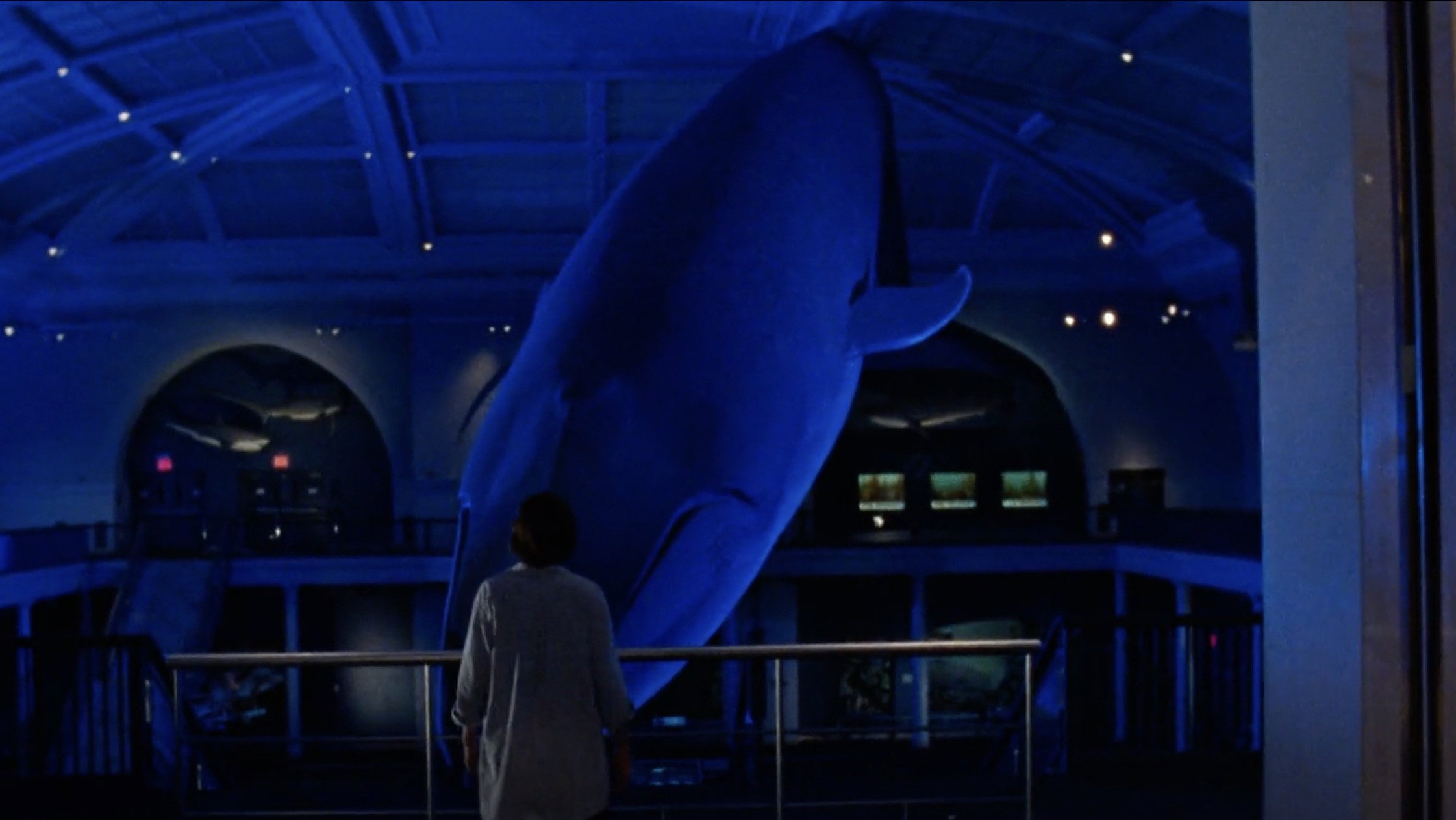 The Squid and the Whale, still 3