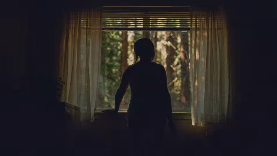 A pregnant woman stands silhouetted at a window, looking out toward the trees