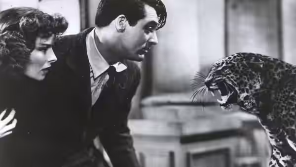 Susan (Katharine Hepburn) and David (Cary Grant) face a snarling leopard