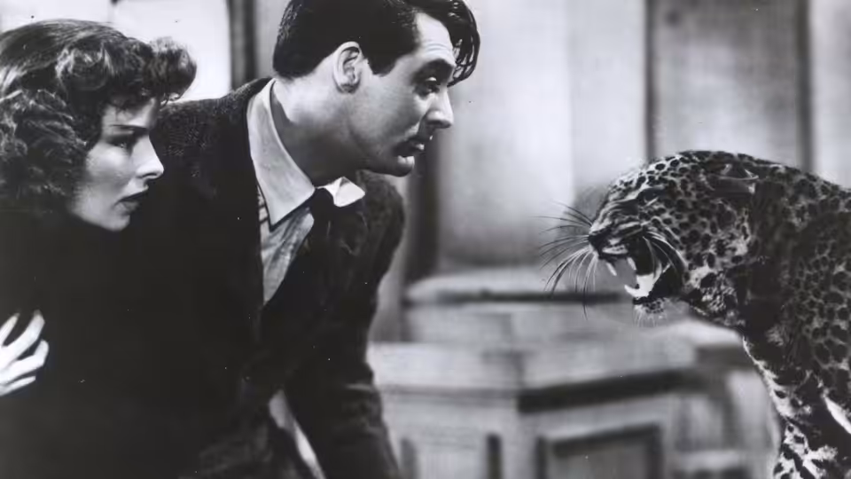 Susan (Katharine Hepburn) and David (Cary Grant) face a snarling leopard