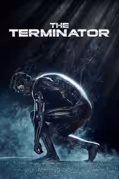 The Terminator poster 3