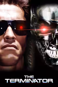 The Terminator poster 2