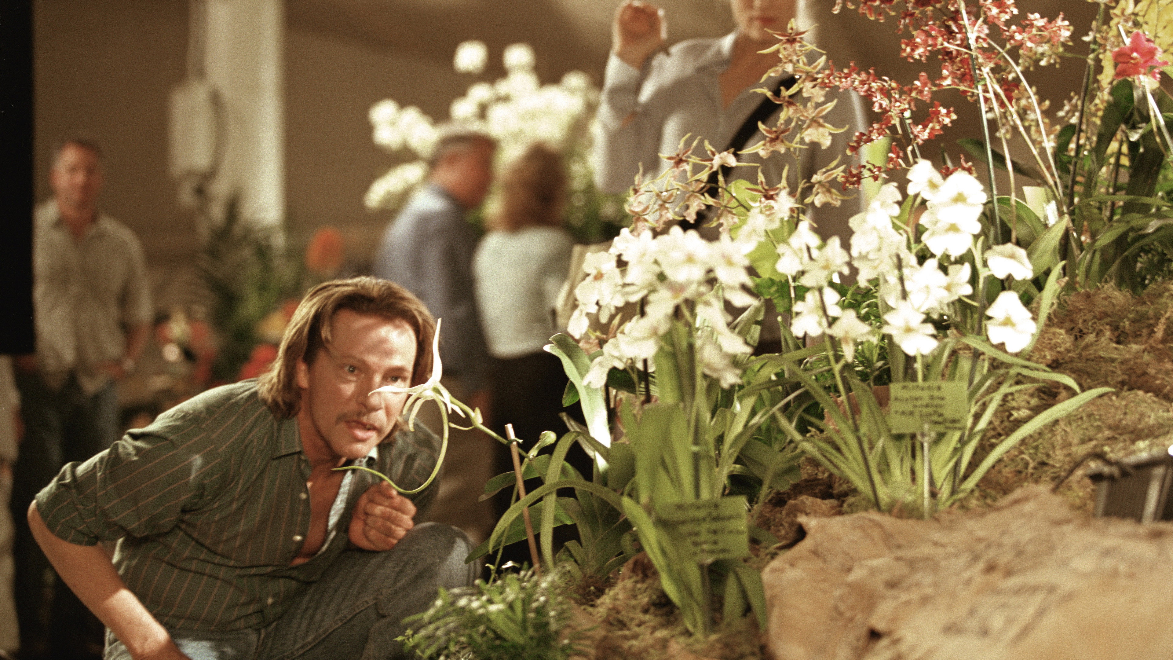 Adaptation., still 3