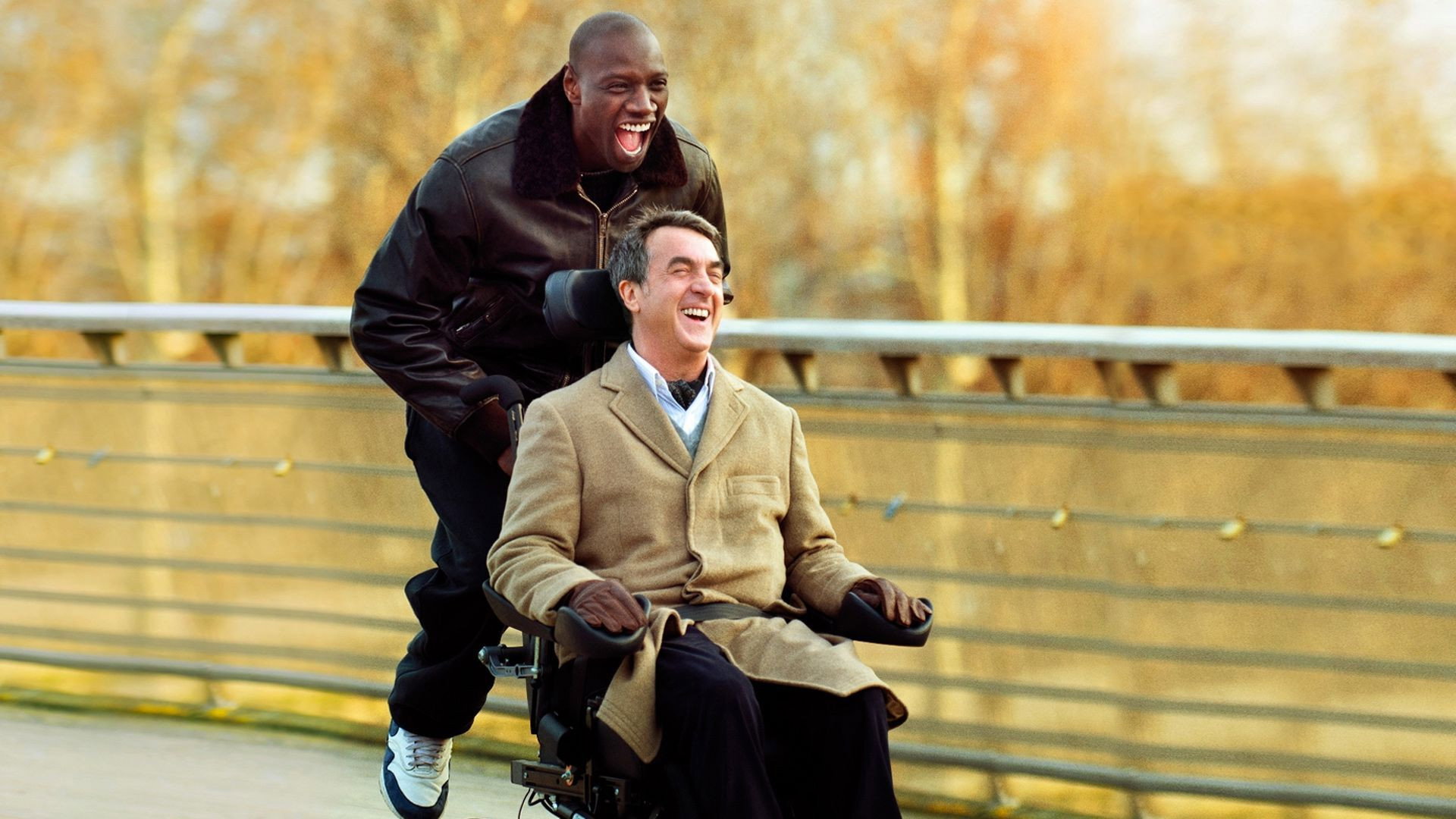 The Intouchables, still 2