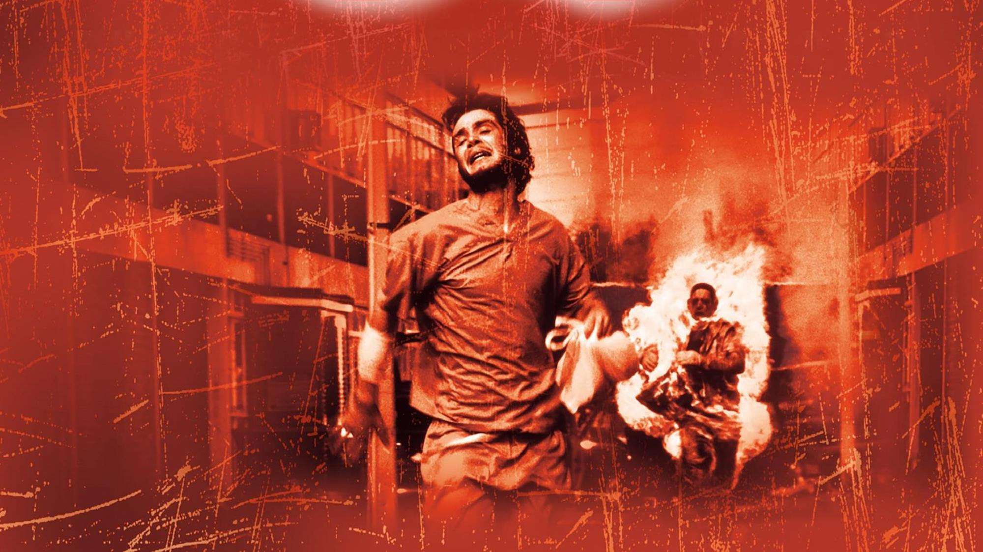 28 Days Later, still 6