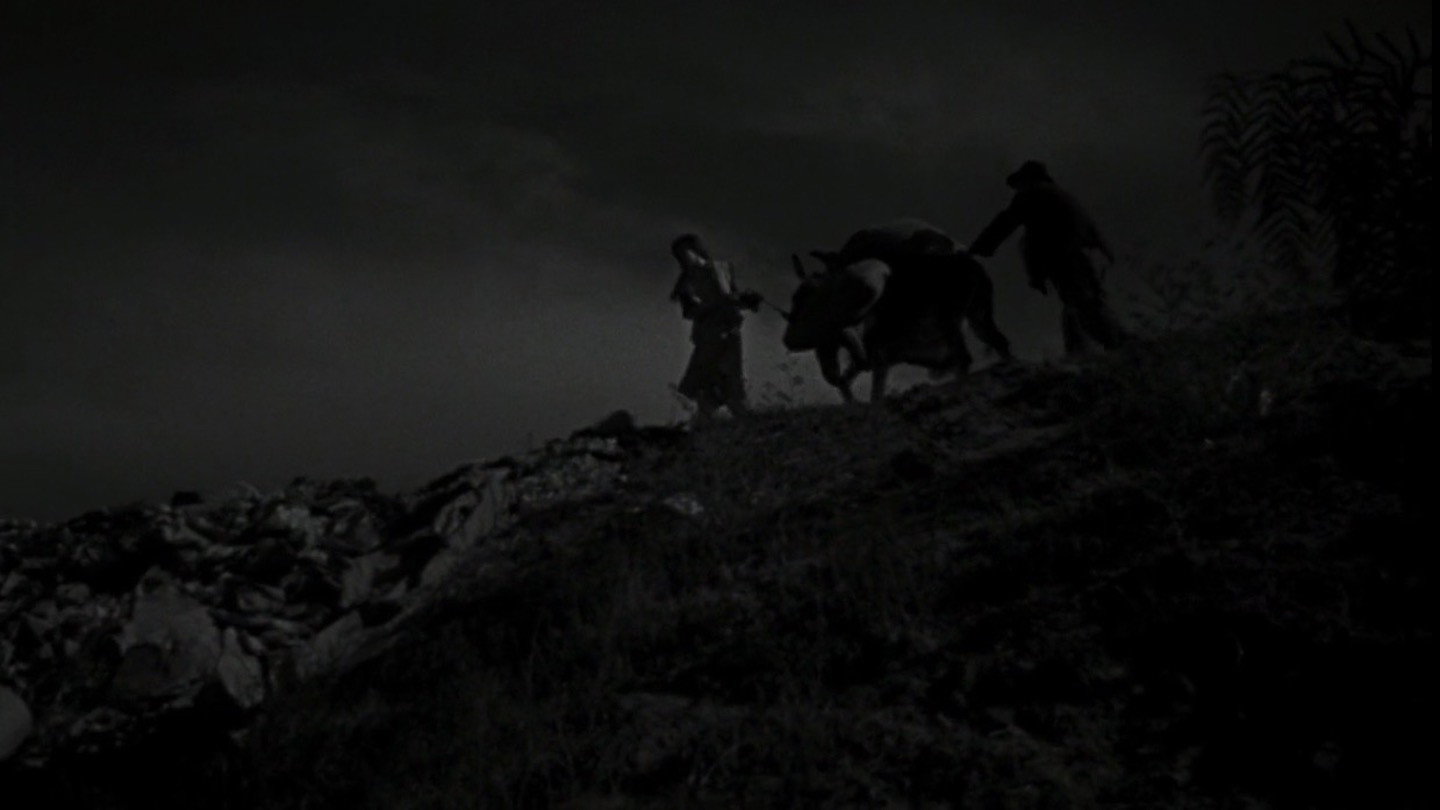 The Young and the Damned, still 1