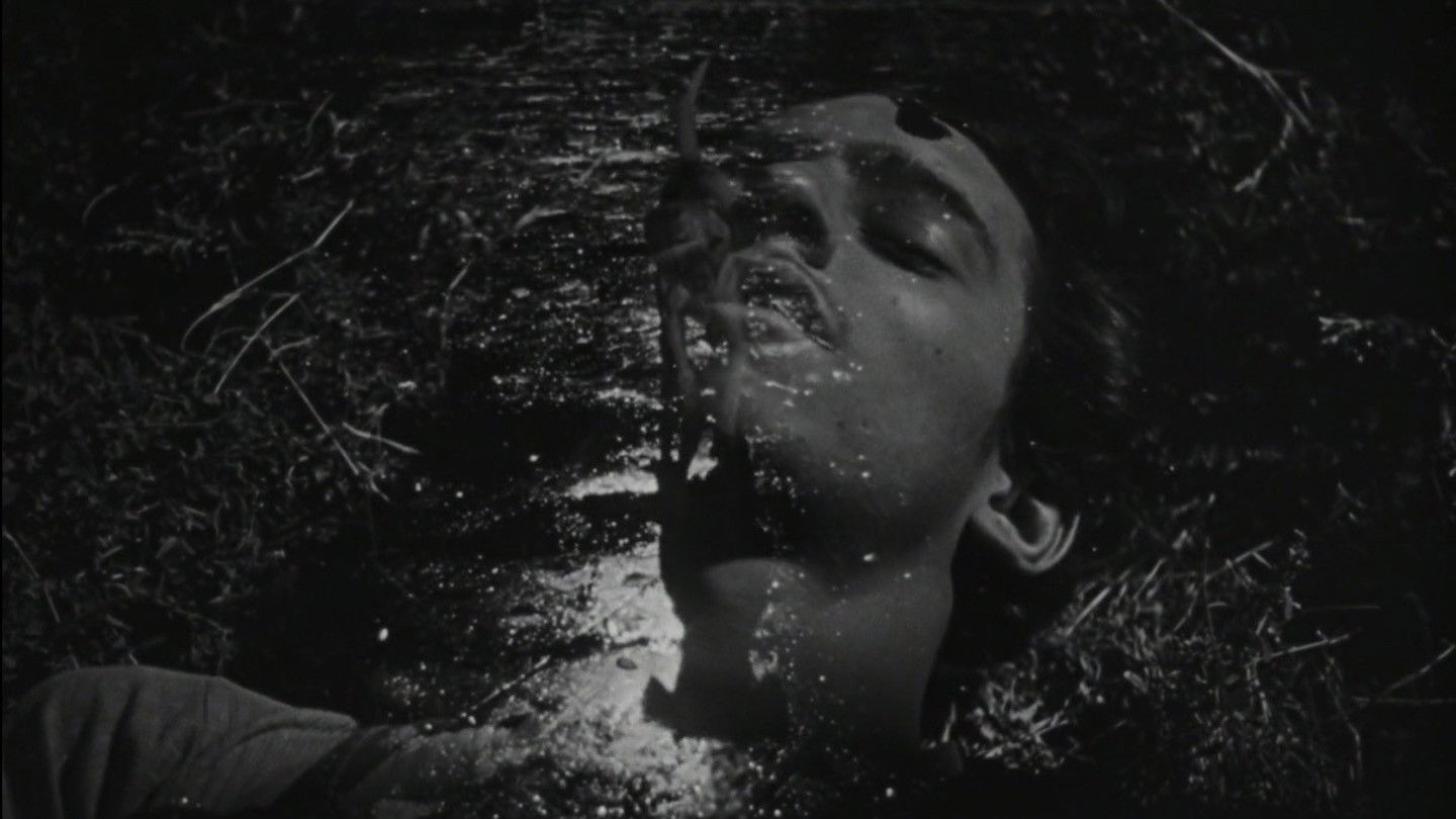 The Young and the Damned, still 3