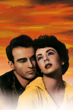 A Place in the Sun poster 2
