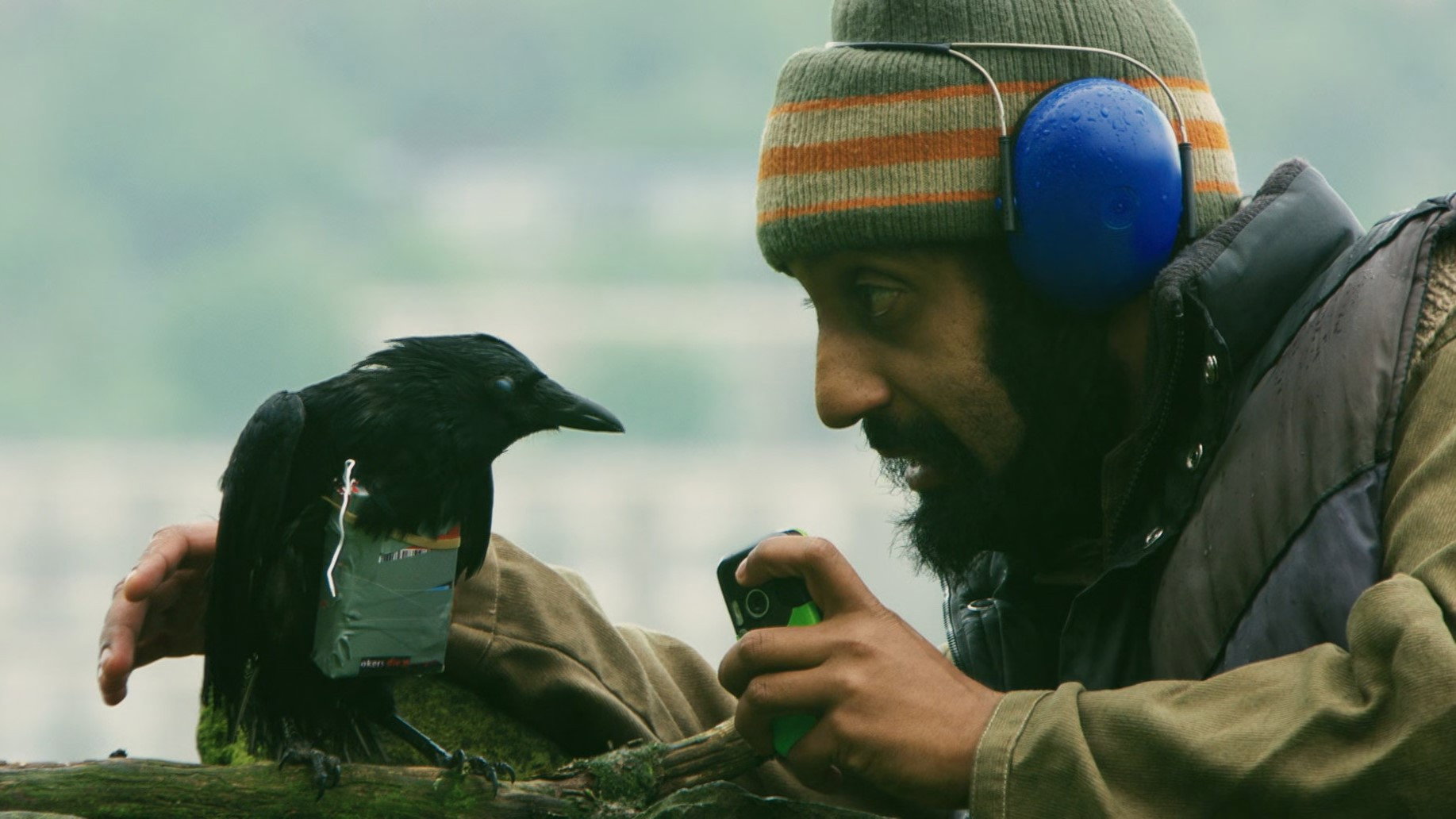 Four Lions, still 4