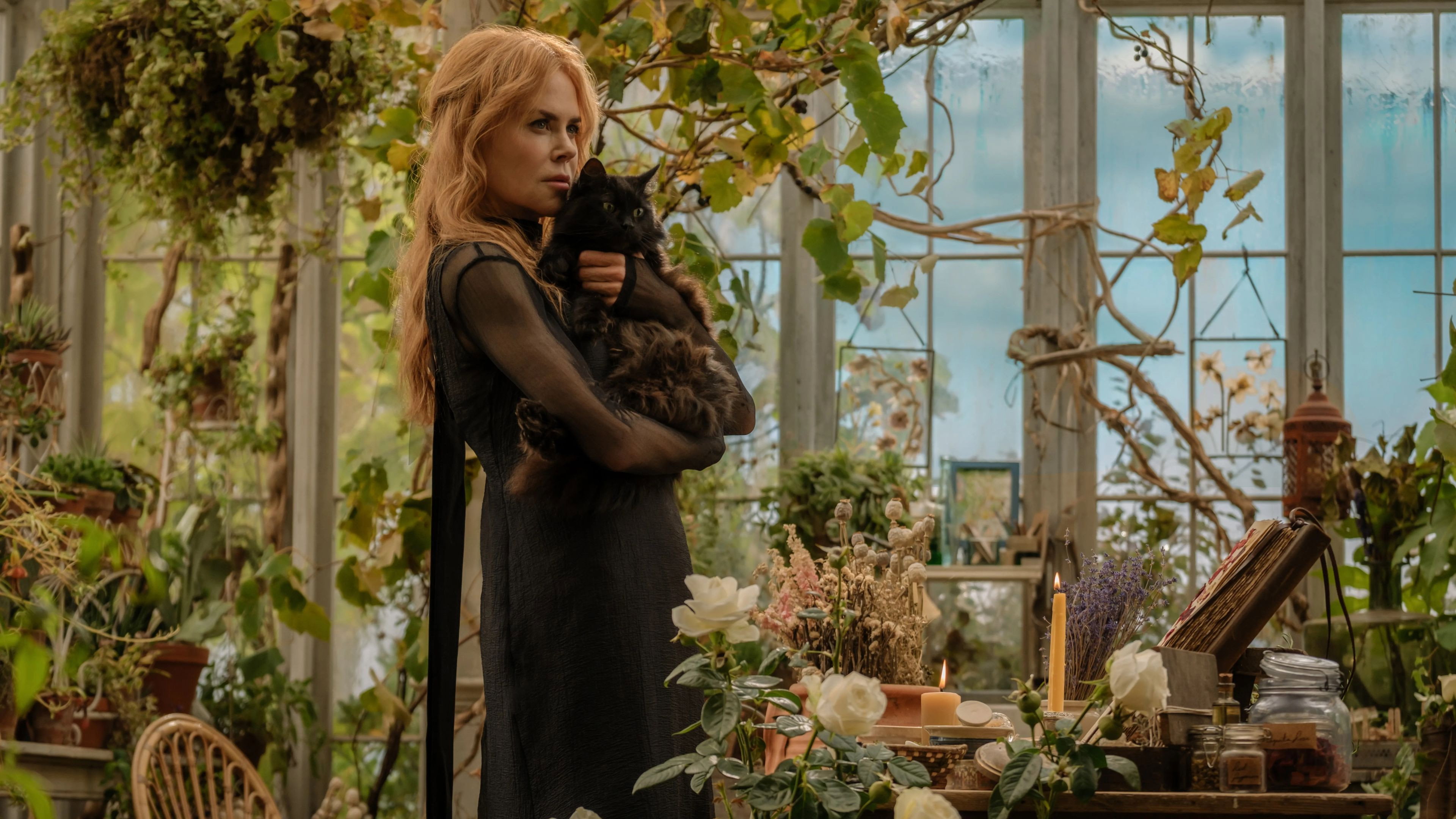 Practical Magic 2, still 1