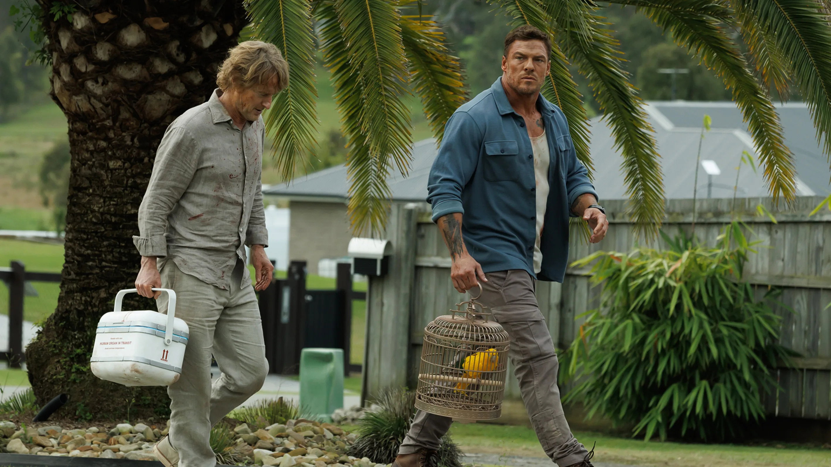 Runner, still 2