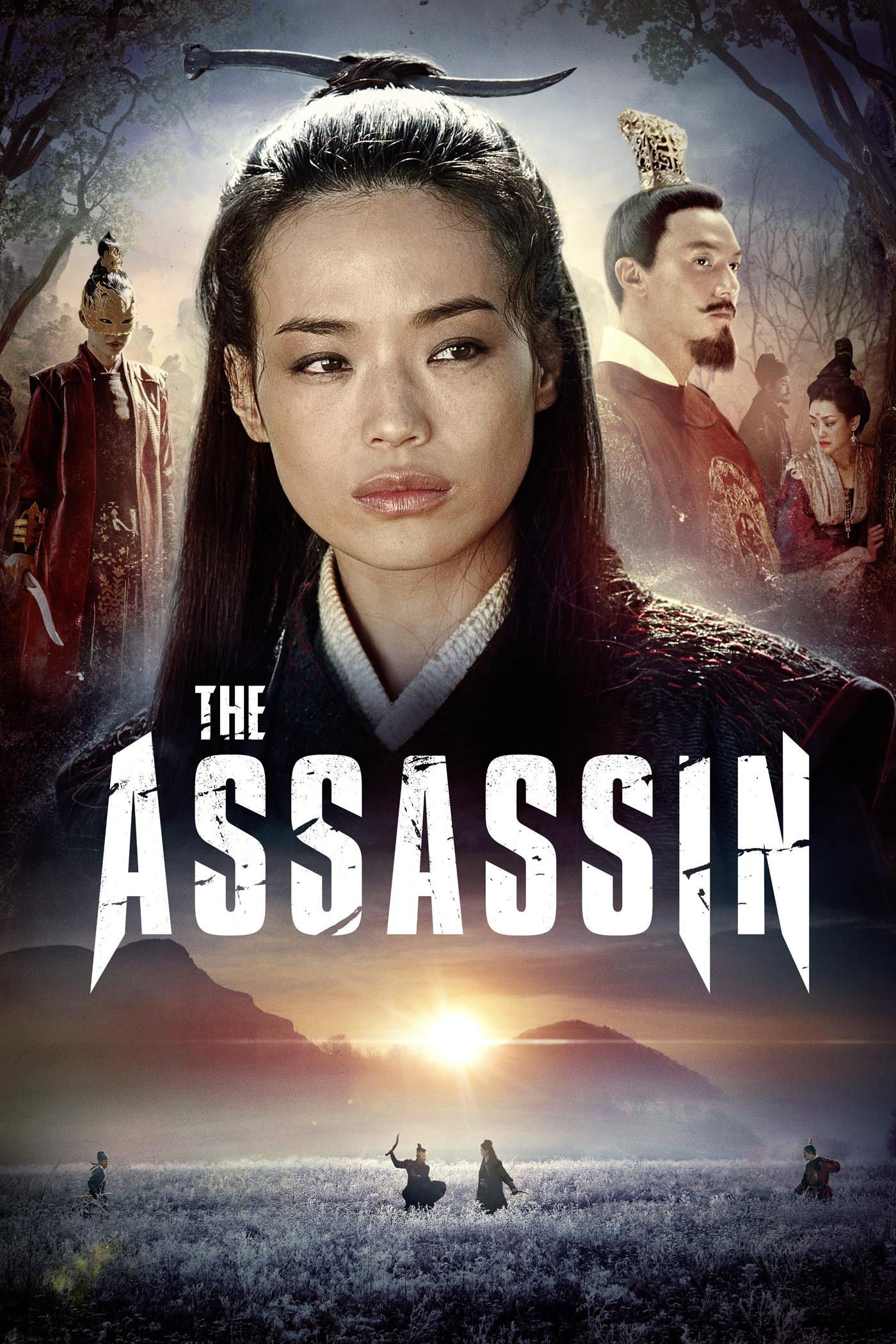 The Assassin poster 3