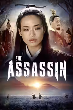 The Assassin poster 3