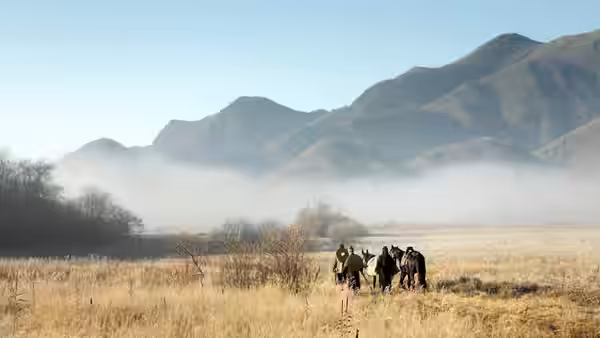 Horses standing in a grassy field with mountains shrouded in mist