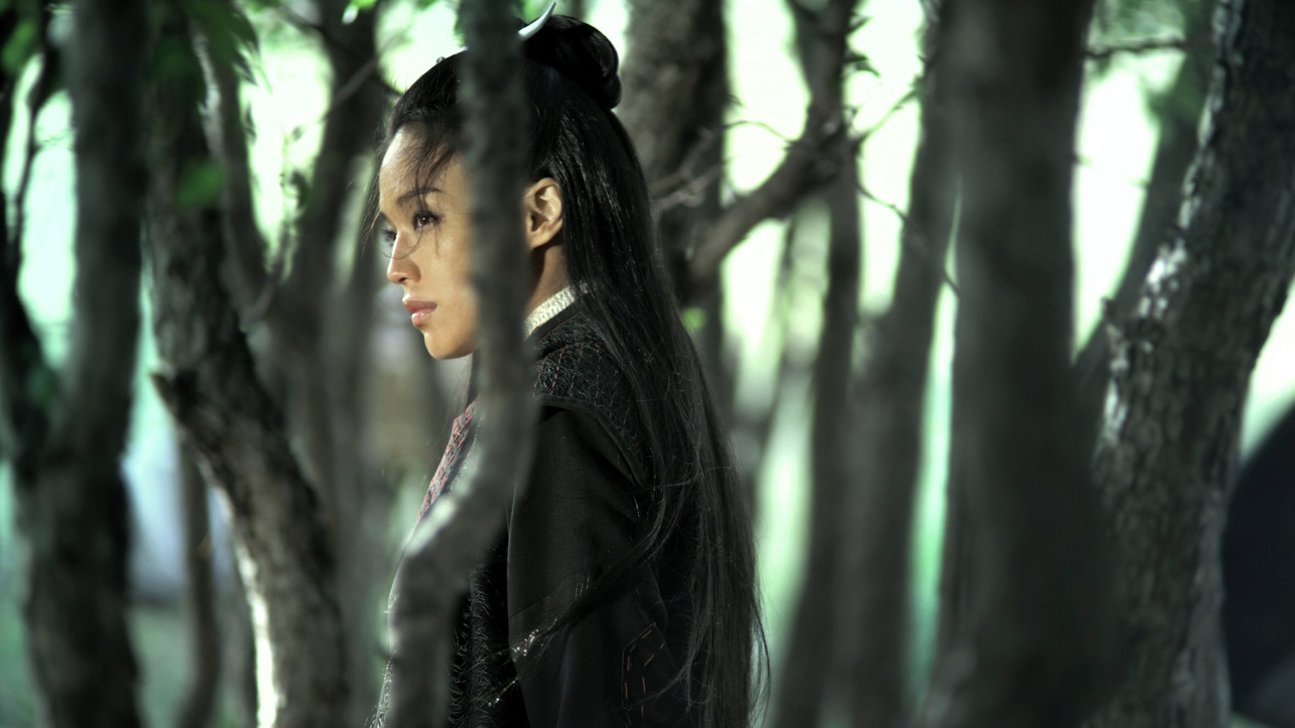 The Assassin, still 2
