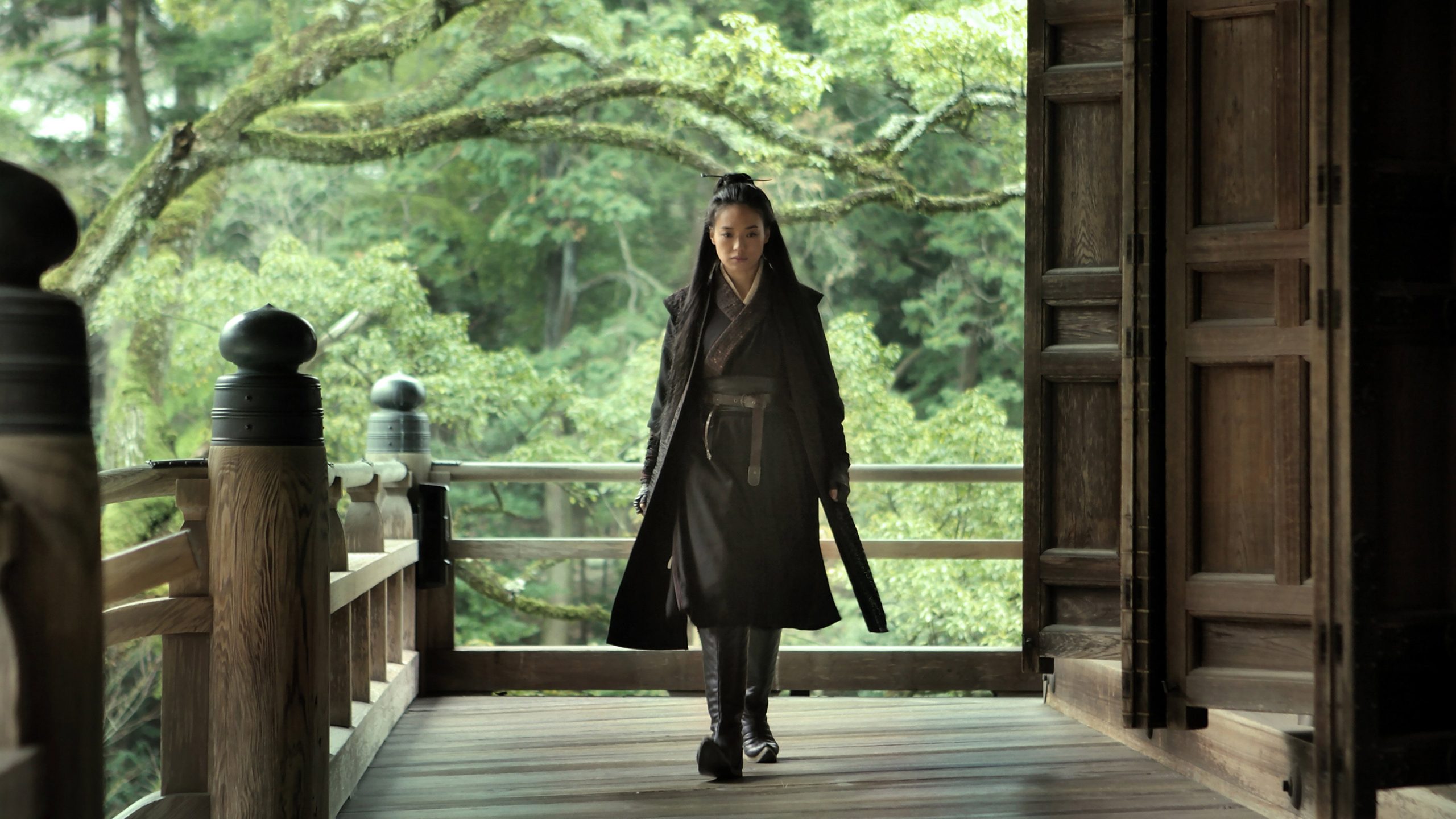 The Assassin, still 1