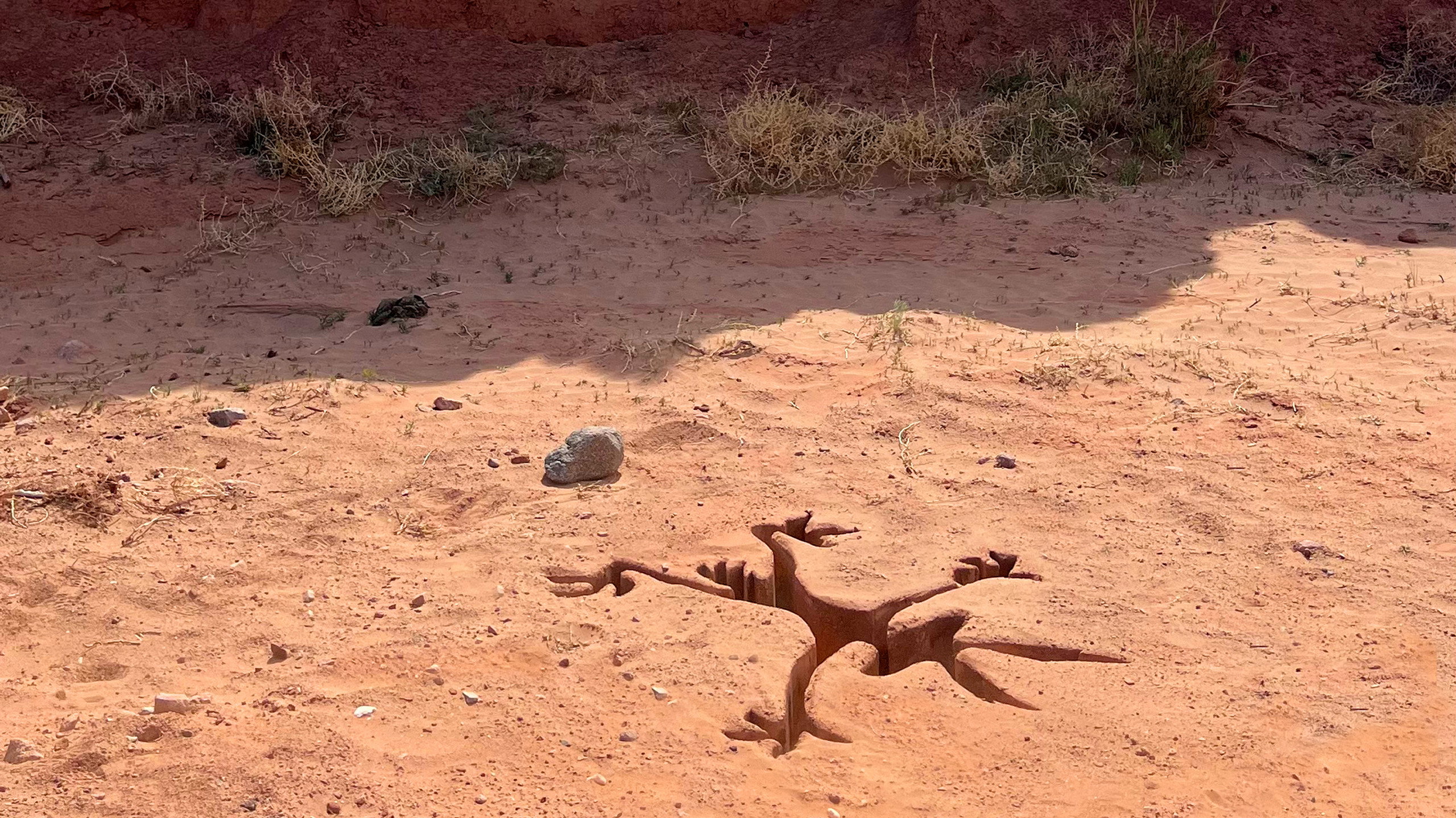 Coyote vs. Acme, still 6