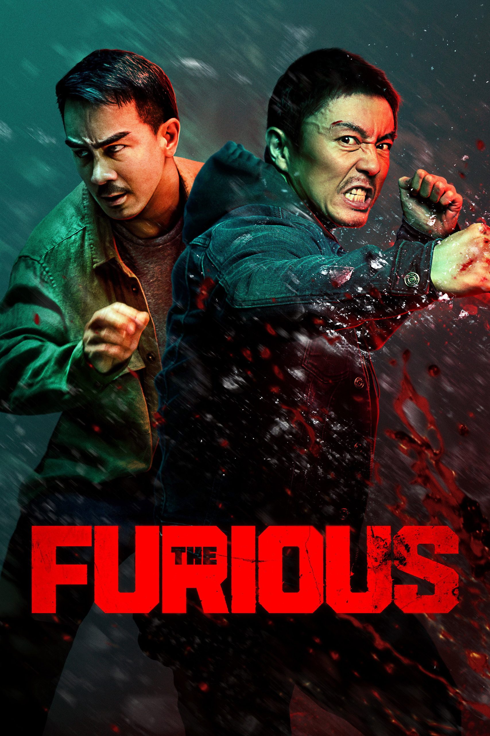 The Furious poster