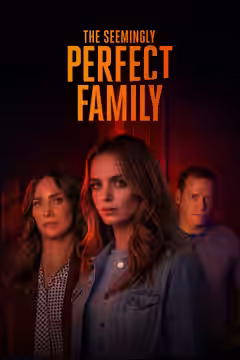 The Seemingly Perfect Family poster