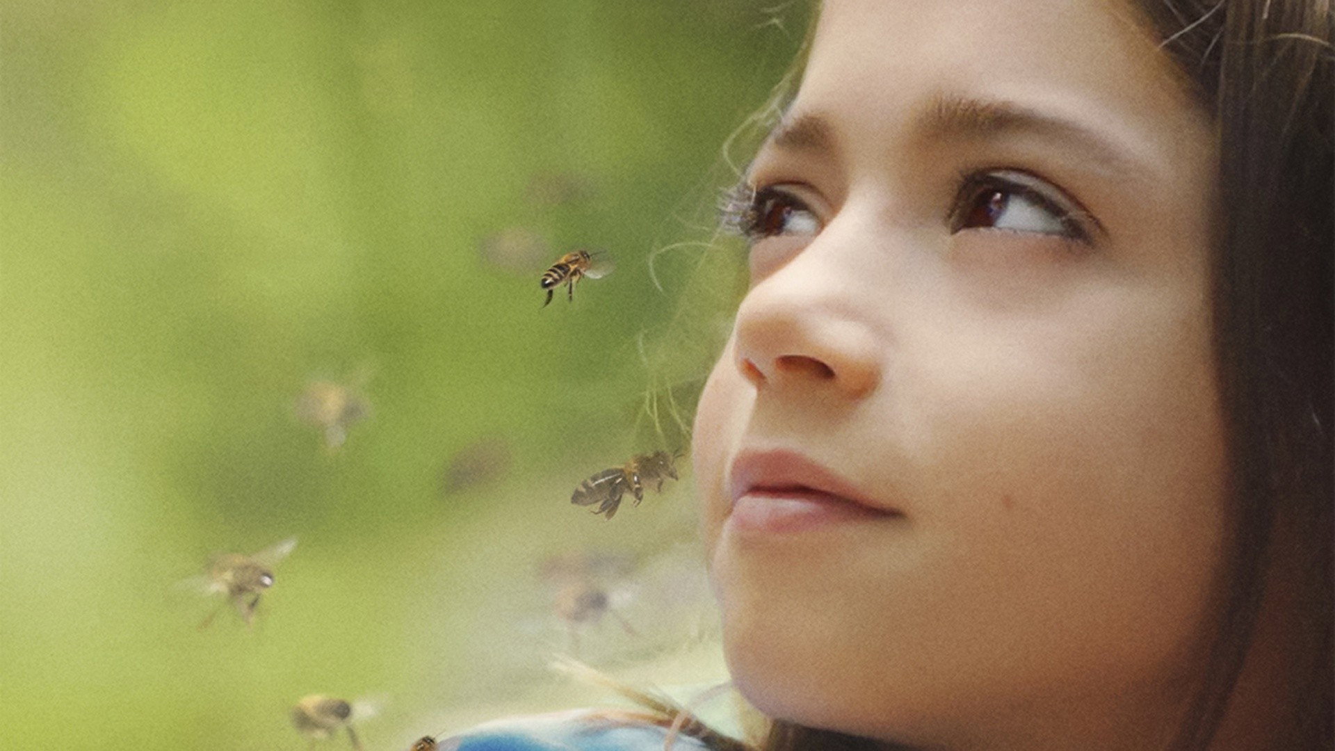 20,000 Species of Bees, still 3