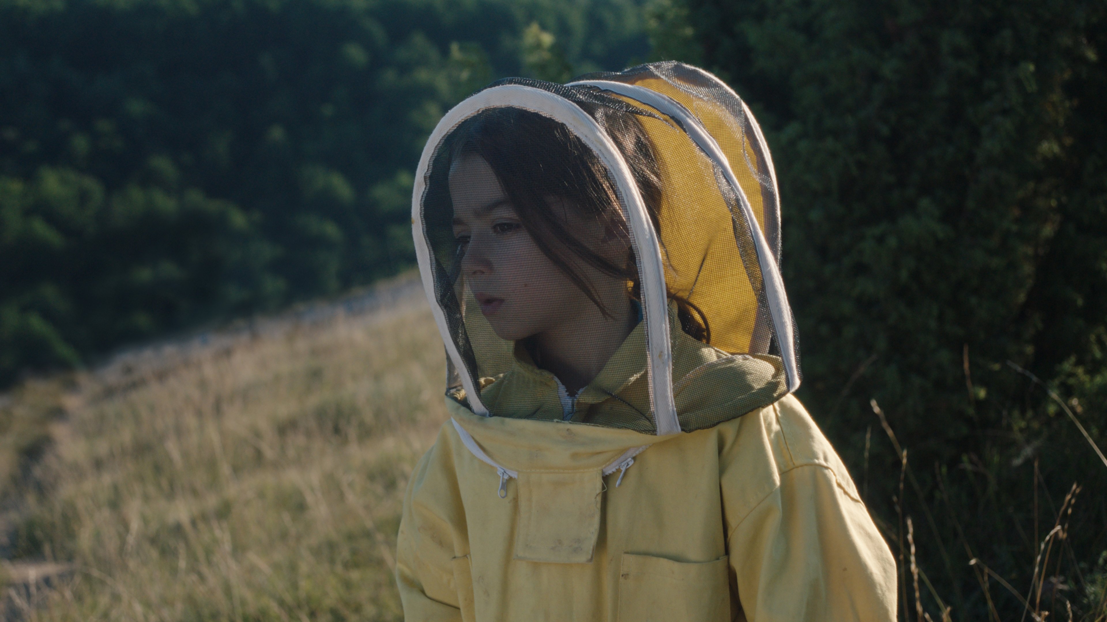 20,000 Species of Bees, still 1