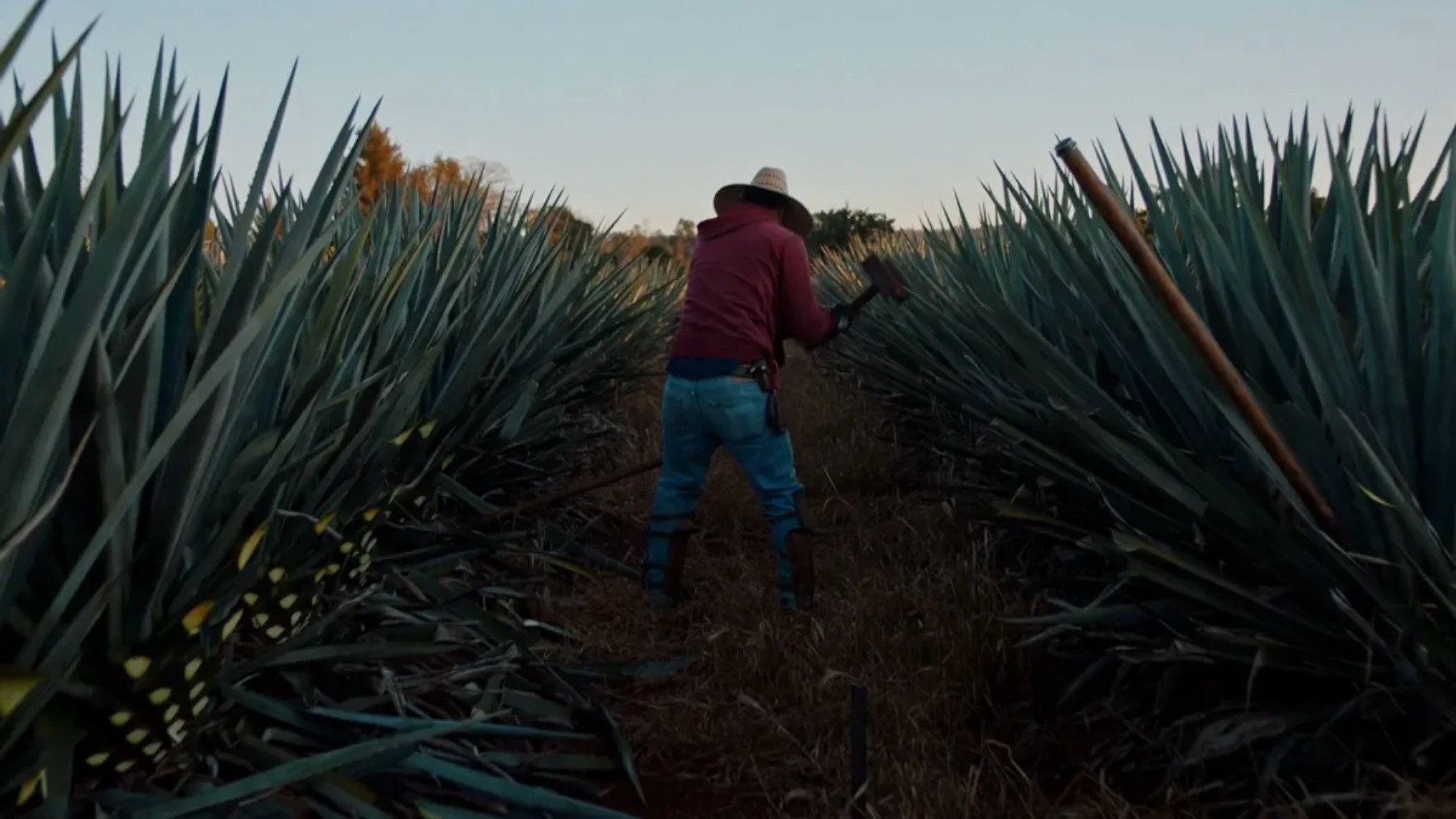 Dos estaciones, still 1
