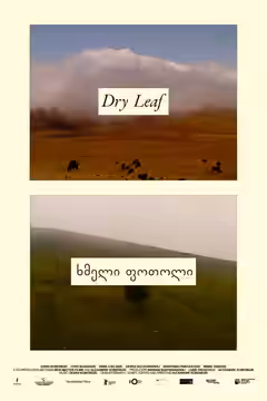 Dry Leaf poster 3