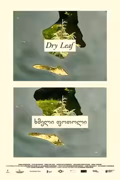 Dry Leaf poster 4