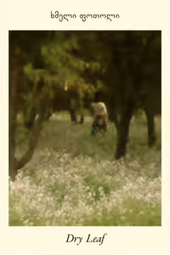 Dry Leaf poster 2