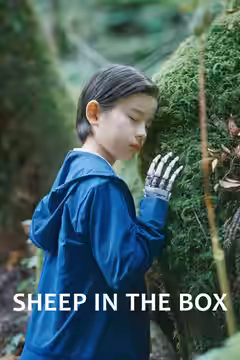 Sheep in the Box poster 2
