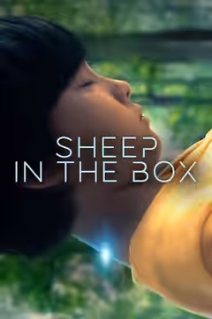 Sheep in the Box poster