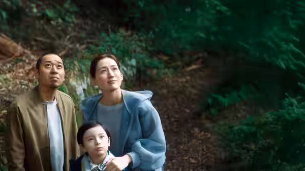 Man woman and boy stand together in a forest looking up at trees