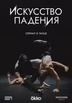 The Art of Falling poster 1