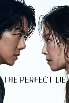 The Perfect Lie poster