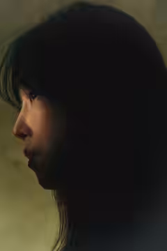 The Perfect Lie poster 2