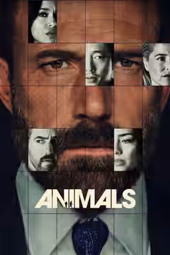Animals poster