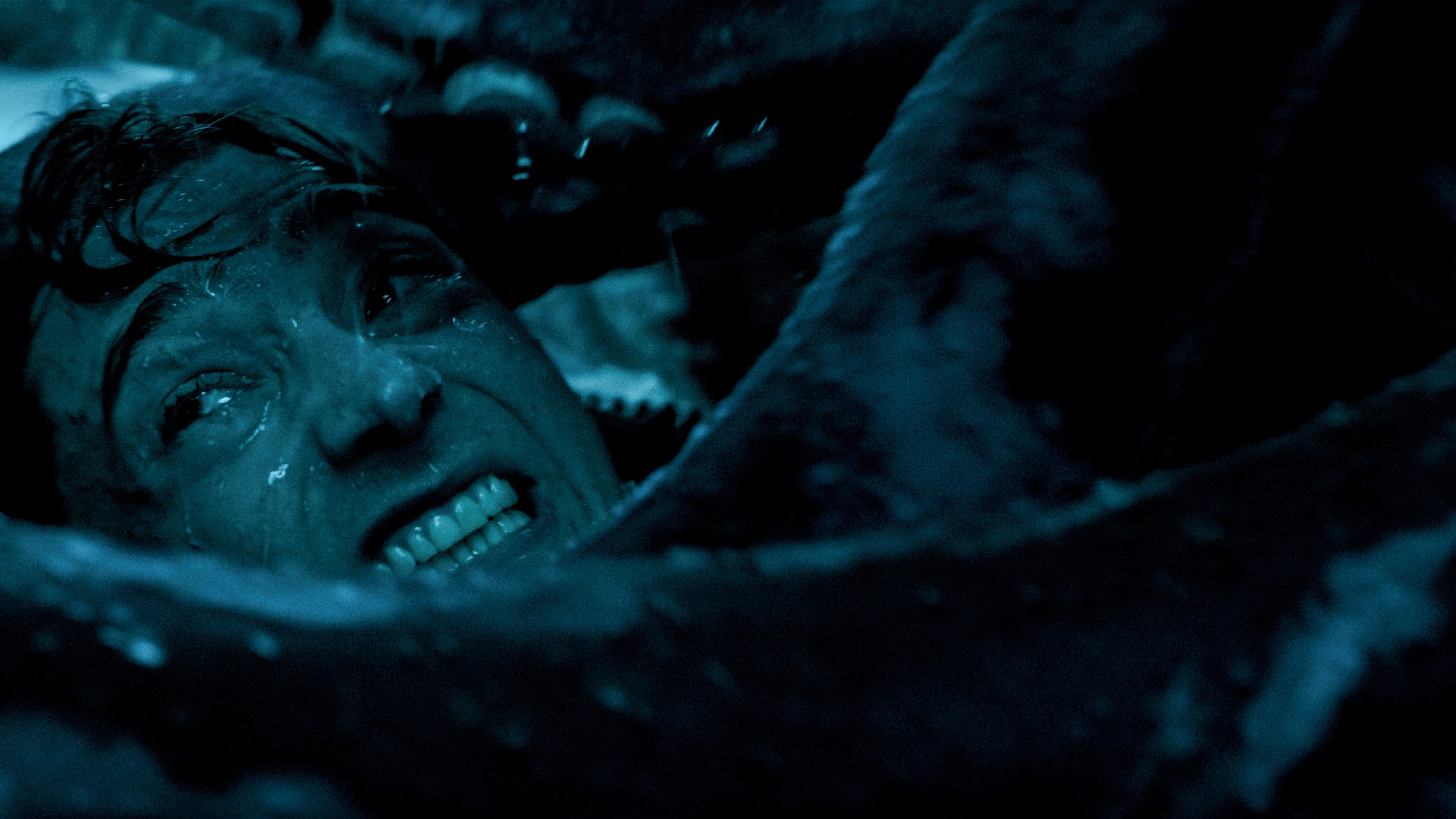 Whalefall, still 3