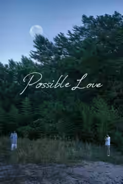 Possible Love poster
