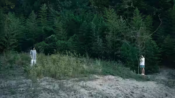 a man and a woman facing each other across a forest clearing