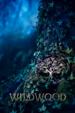 Wildwood poster 6