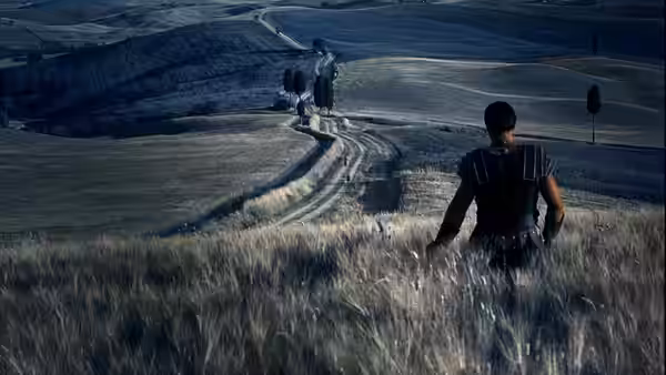 armored man walking through tall grass toward distant figures on a hill