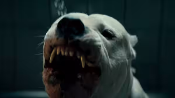 A white dog bares its teeth inside the grooming clinic