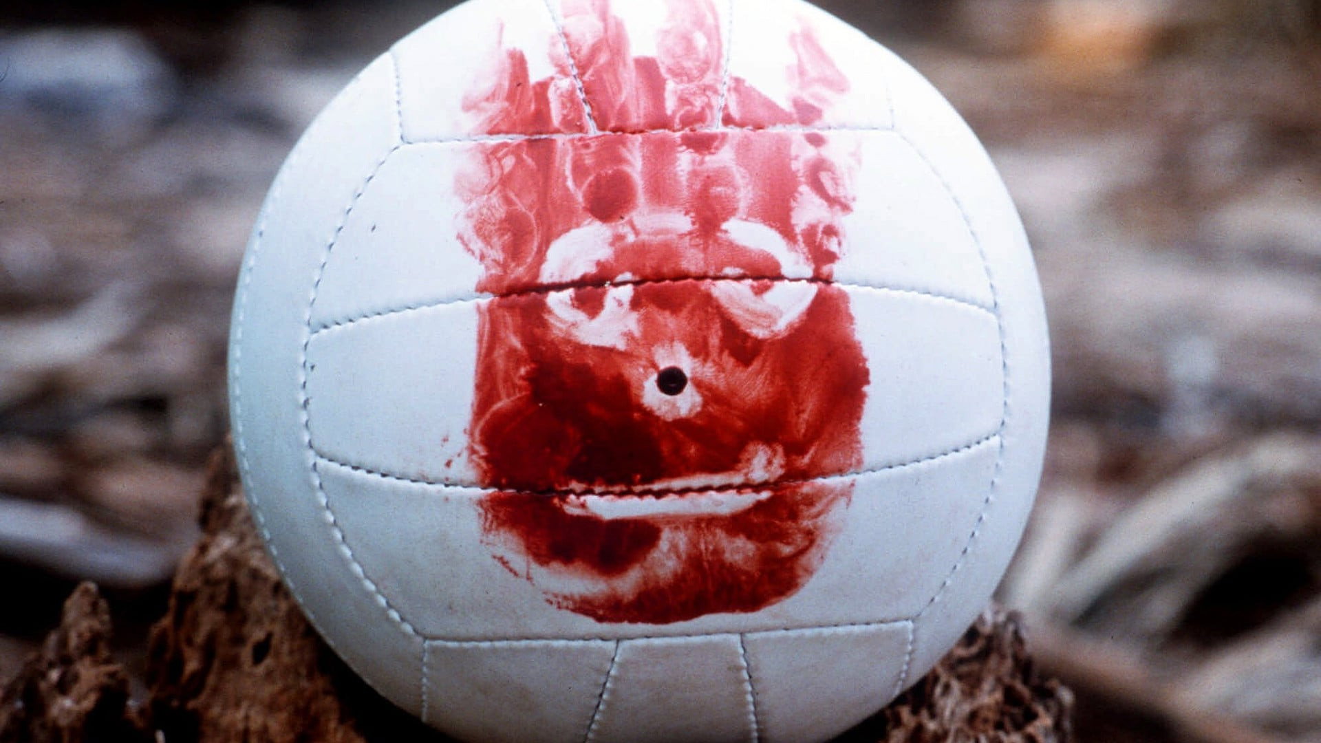 Cast Away, still 6