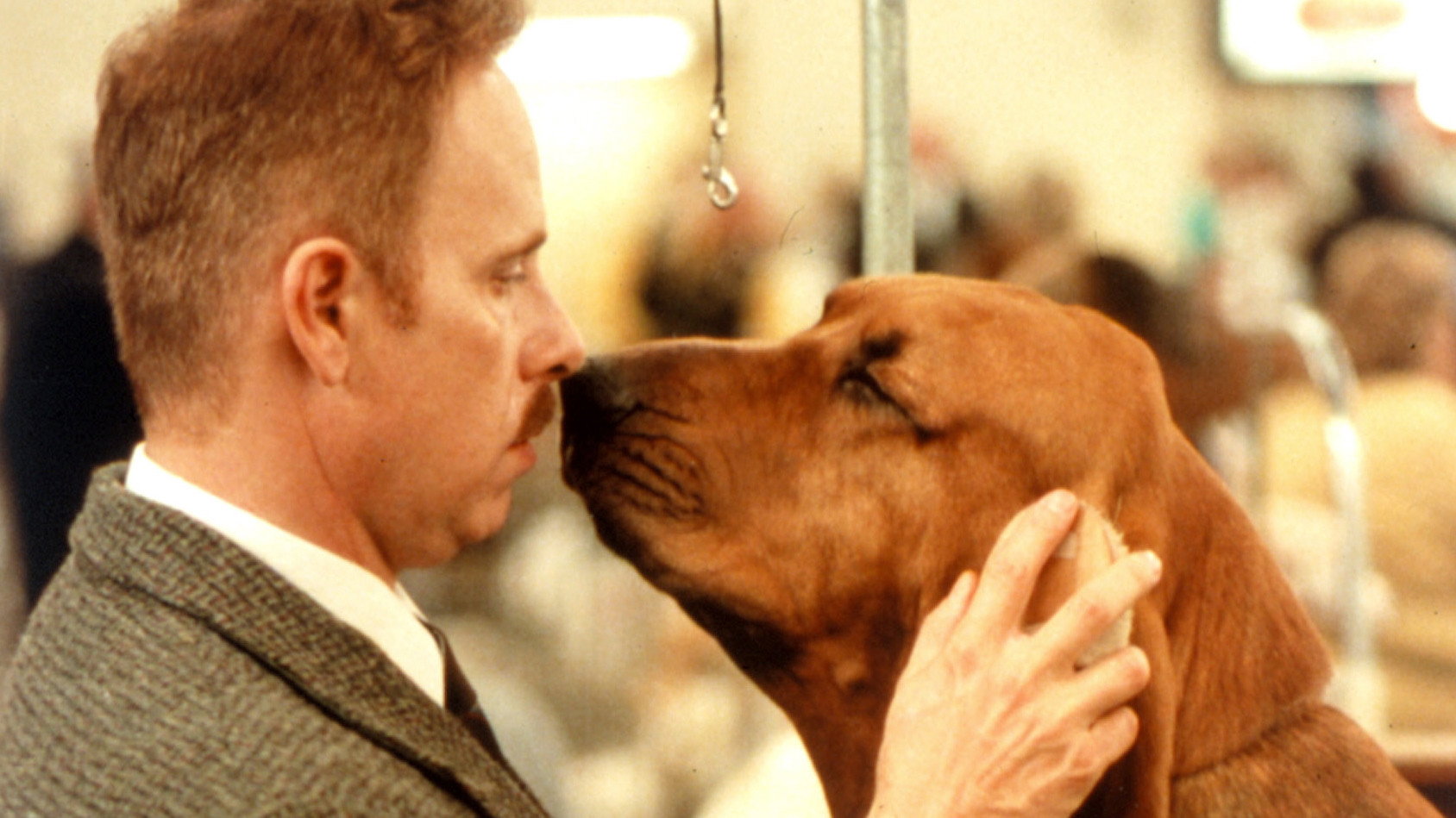 Best in Show, still 2