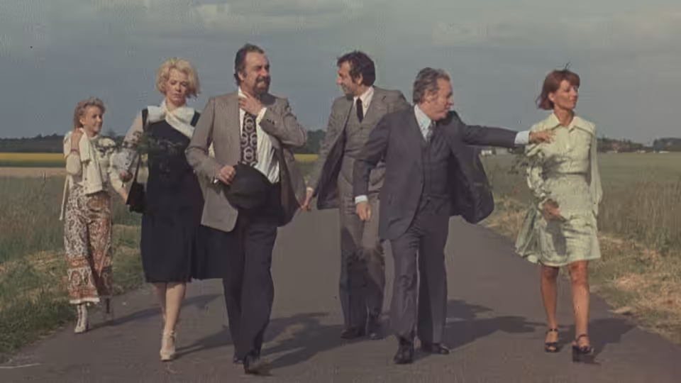Group of well-dressed adults walking along a rural road together