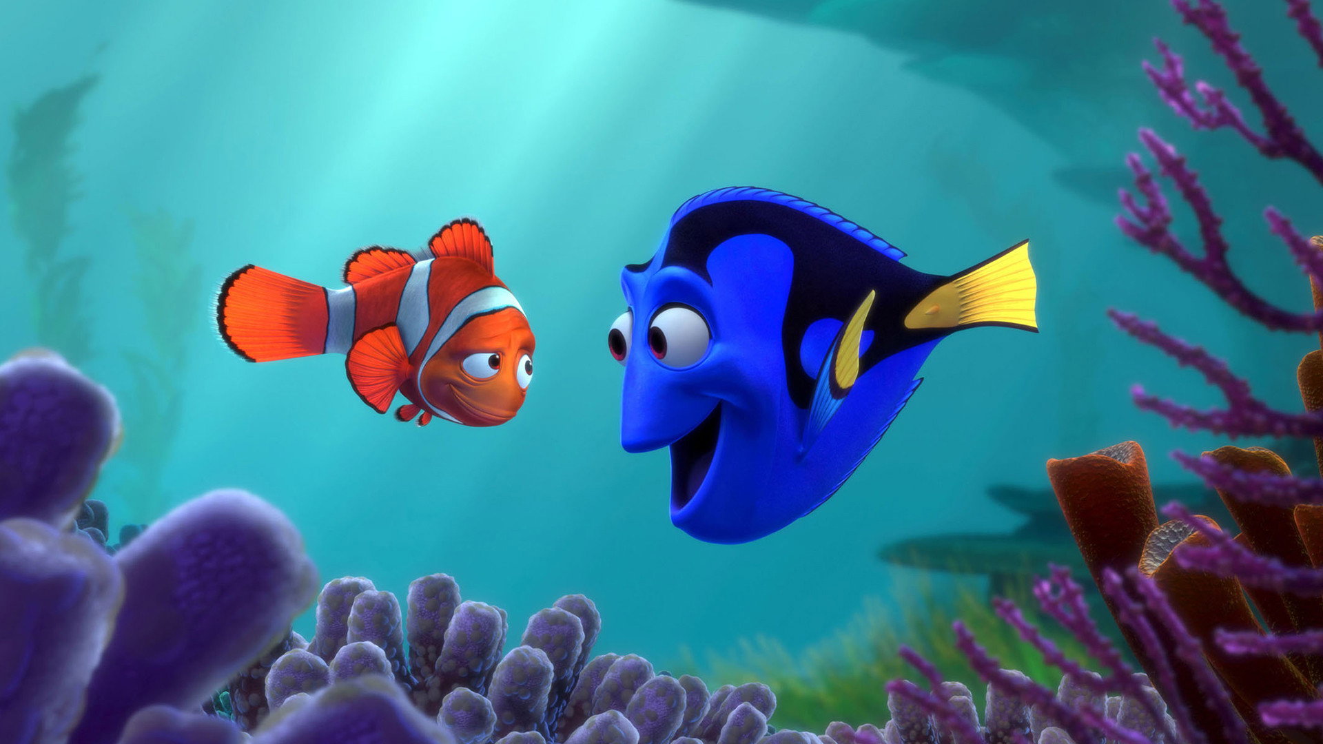 Finding Nemo, still 6