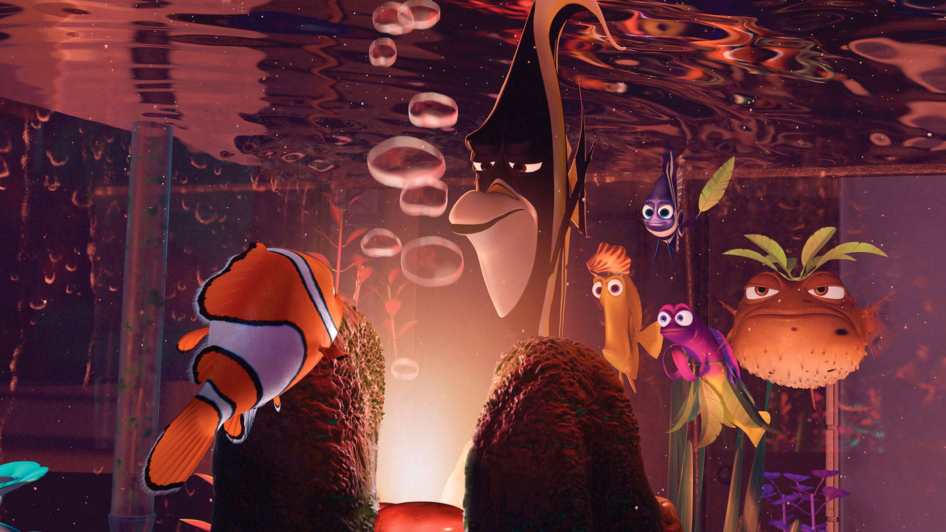 Finding Nemo, still 4