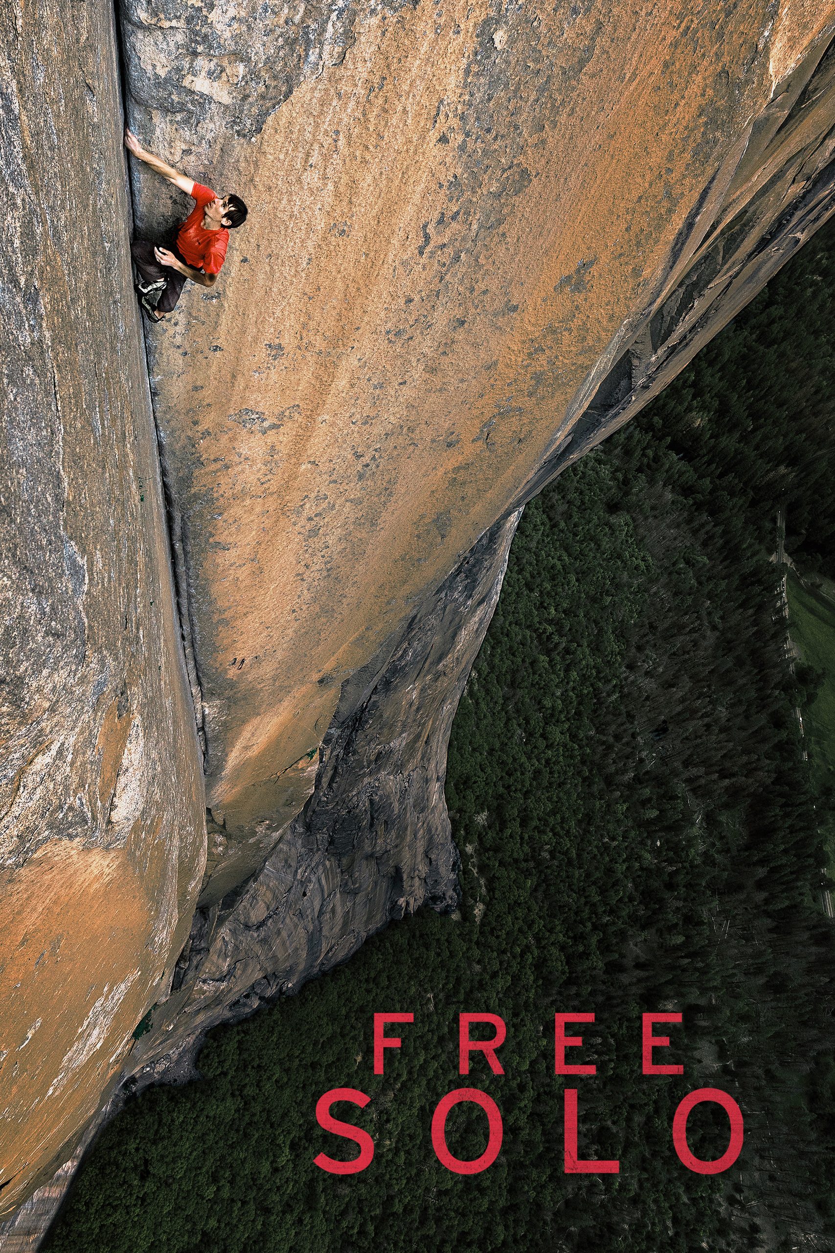 Free Solo poster 2